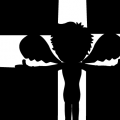 'Angel In Darkness'