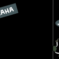 'GOTCHA'