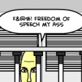 The DMCA