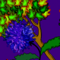 earth fire water