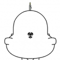 birthday wishes
