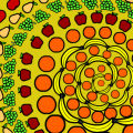 'Fruit Salad'