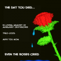 'TEARS OF ROSES'