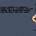 Chuck norris joke 1