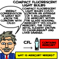 Compact Fluorescent Light Bulb