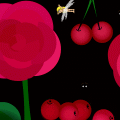' NOT JUST CHERRIES AND ROSES'