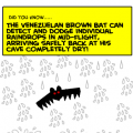 The Venezuelan brown bat