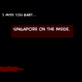 Singapore on the Inside