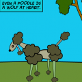 'POODLE'