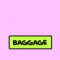 PRESIDENTIAL BAGGAGE