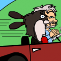 Dogs in Cars