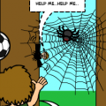 'THE FLY'