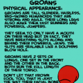 Etymology of a Groan 1